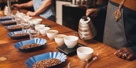 Coffee, Cacao & the Pulse of Colombia , image 5
